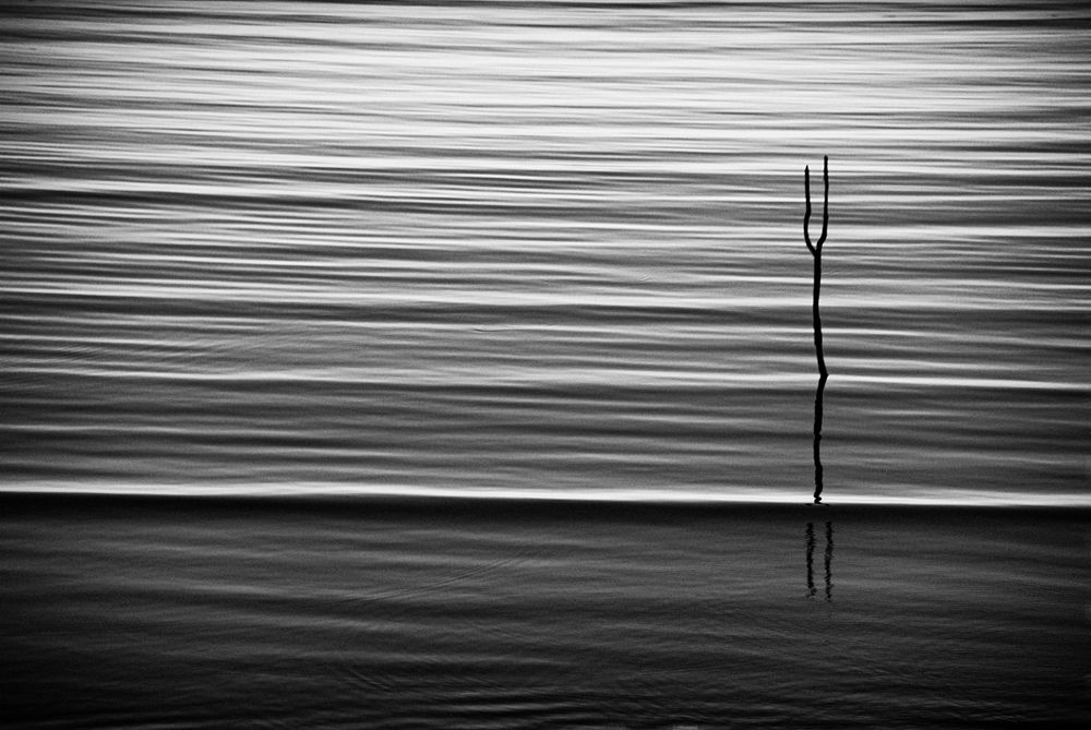 Photograph by Hengameh pirooz