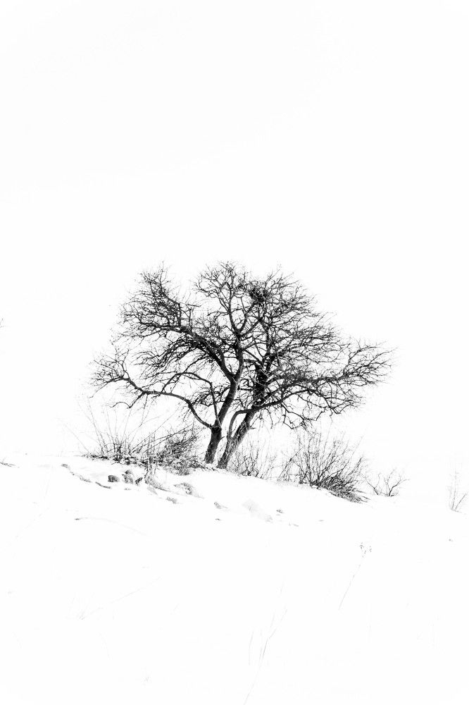 Photograph by Арцах Бабаян