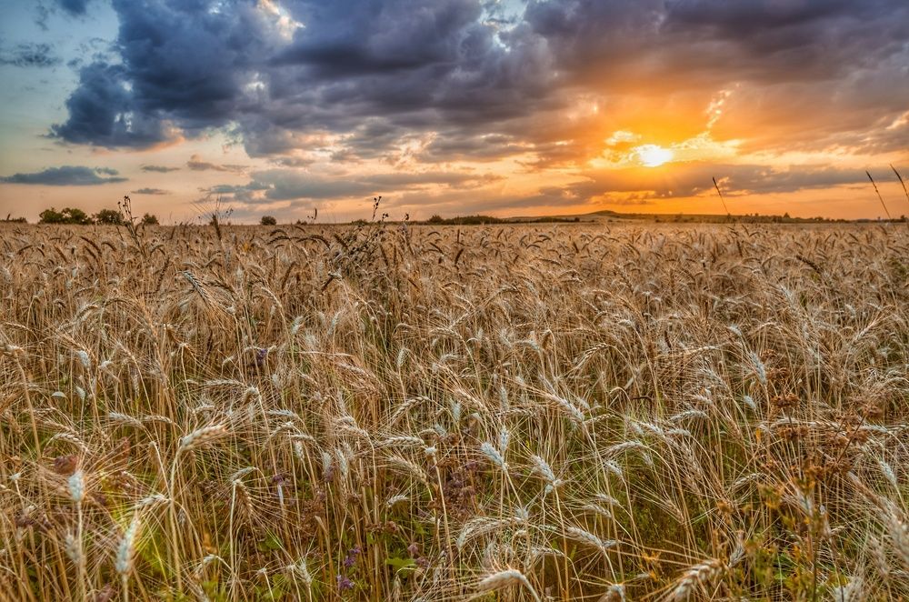 Фотография автора Shilo Vladislav