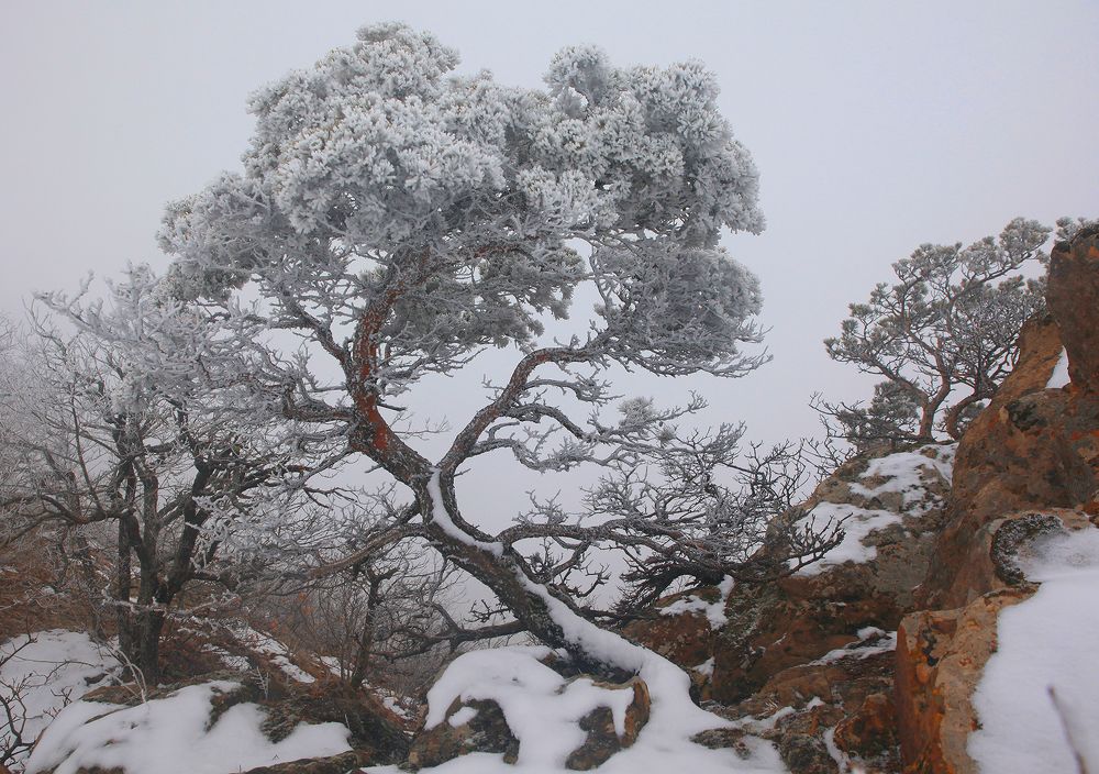 Photograph by Marat Magov