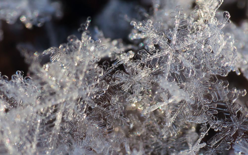 Фотография автора Николай Бологов