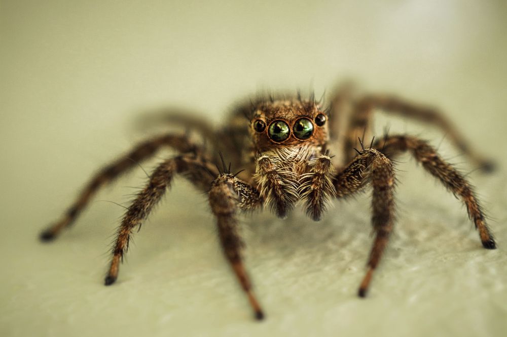 Photograph by mohamed