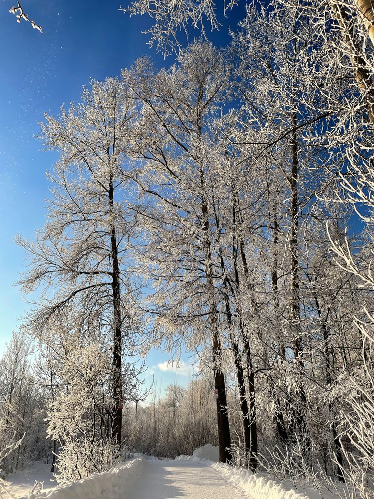 Photograph by Альбина Гильманова