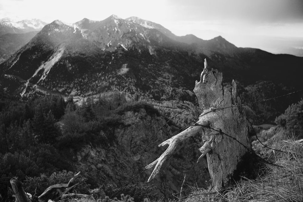 Alps. Mai 2021.