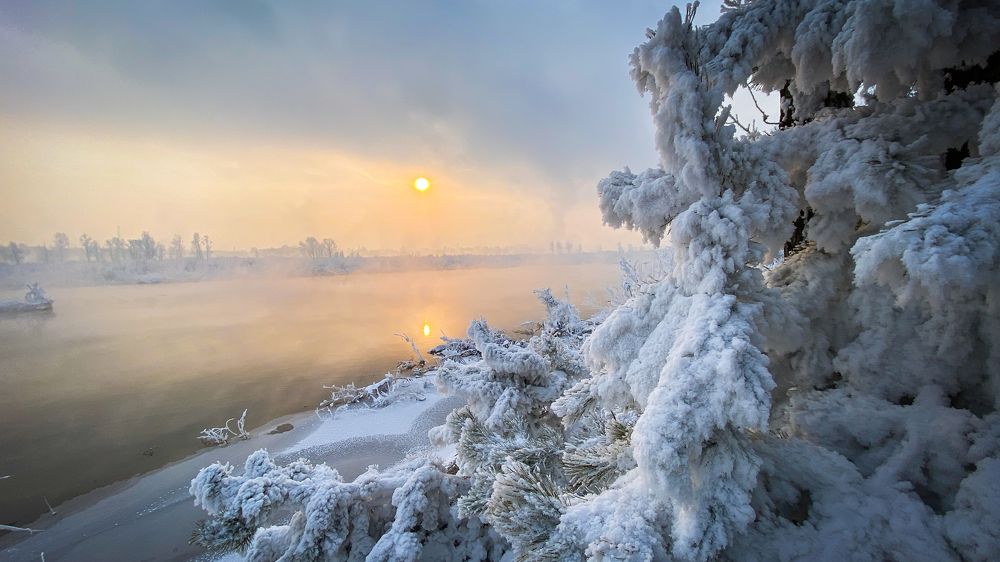 Photograph by Роман Алейников