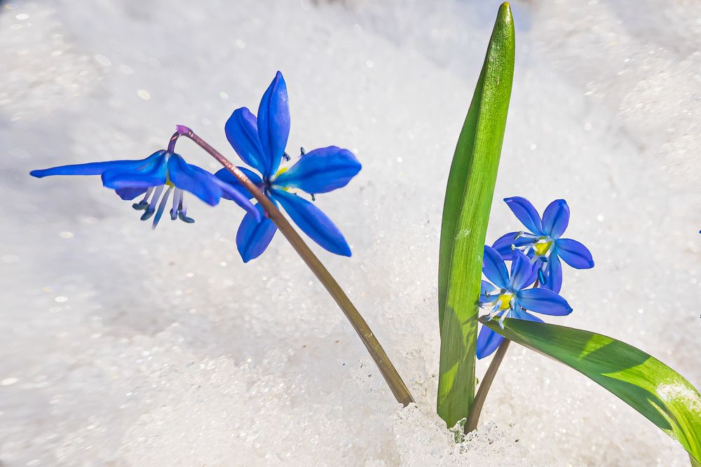 Фотография автора Николай Бологов