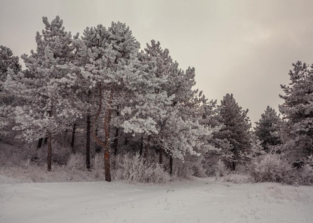 Фотография автора 
