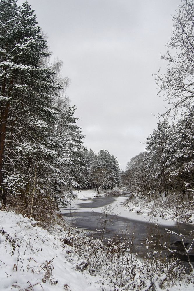 Фотография автора Геннадий Коробов