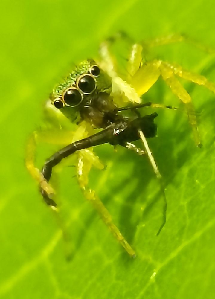 Photograph by Harry Syahrizuan