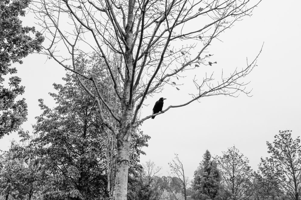 Photograph by Никта Ренджер