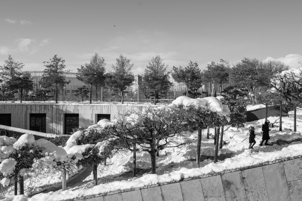 Photograph by Никта Ренджер