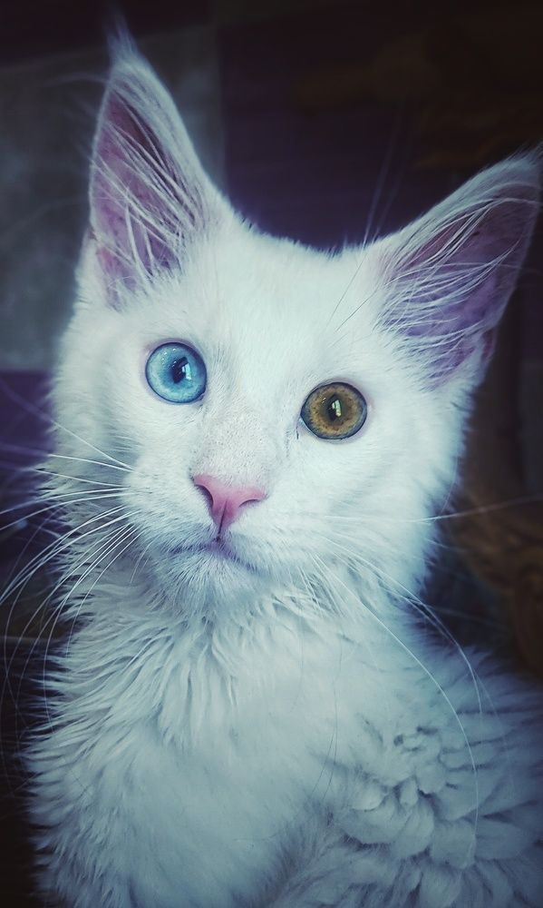 Photograph by Лера