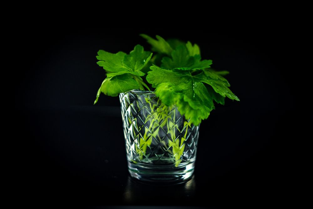 Photograph by Екатерина Абрамова
