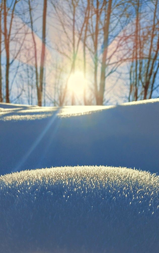 Photograph by Лера