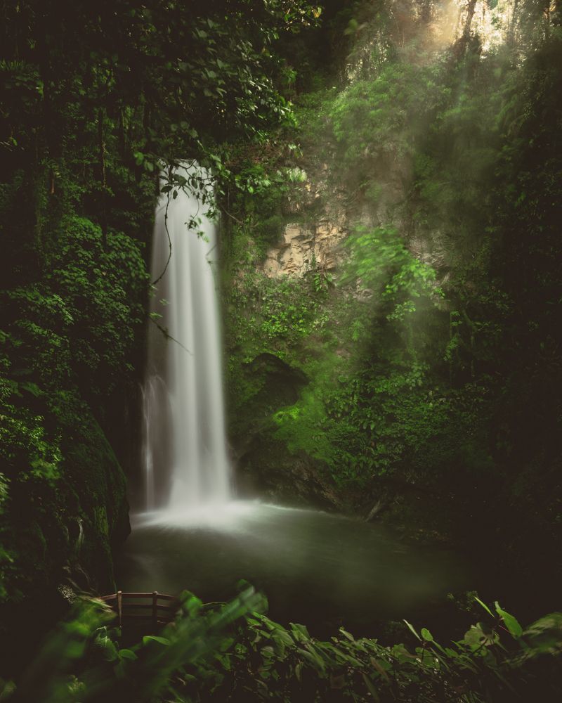 Photograph by LEONARDO HALL RAMIREZ