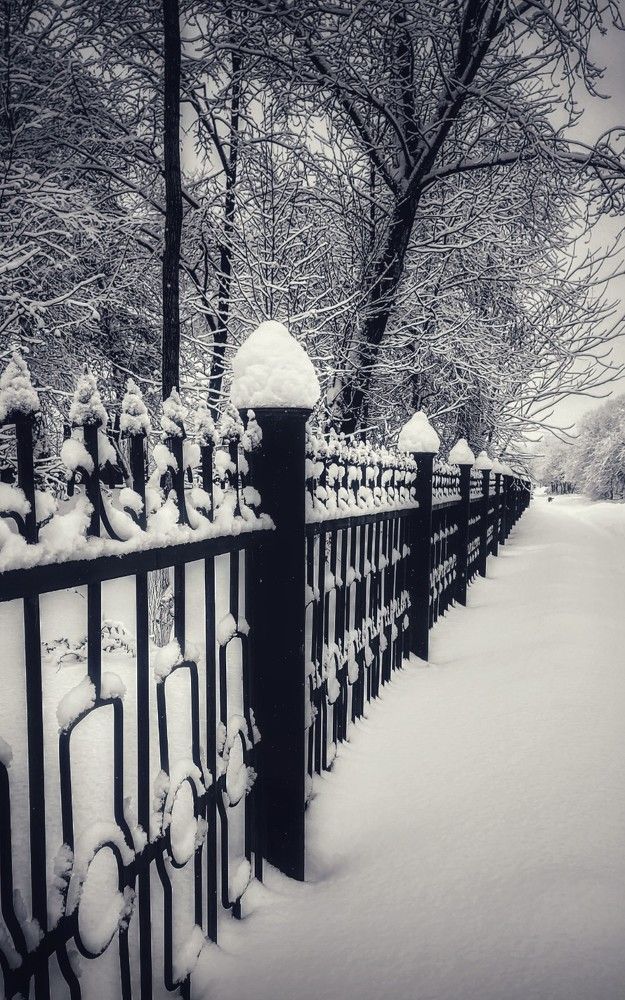 Photograph by Лера