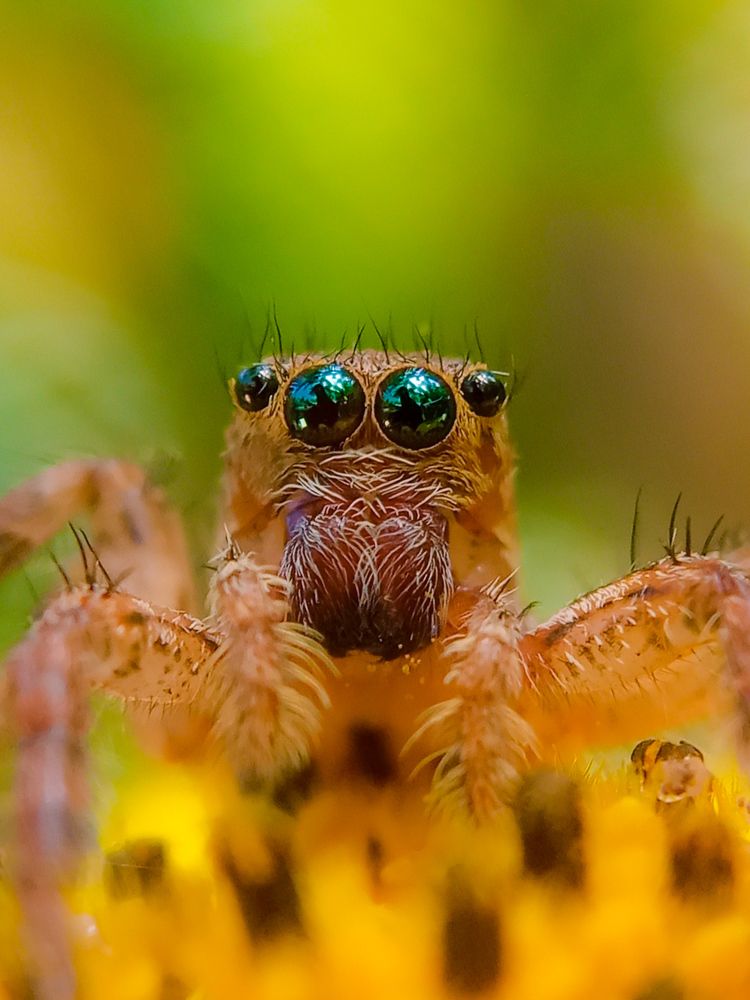 Photograph by Vishnu SR