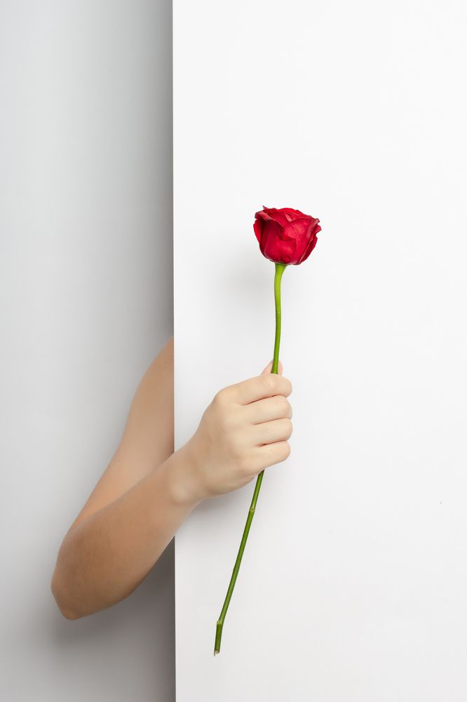 Photograph by Carlos César Lopes Tenório