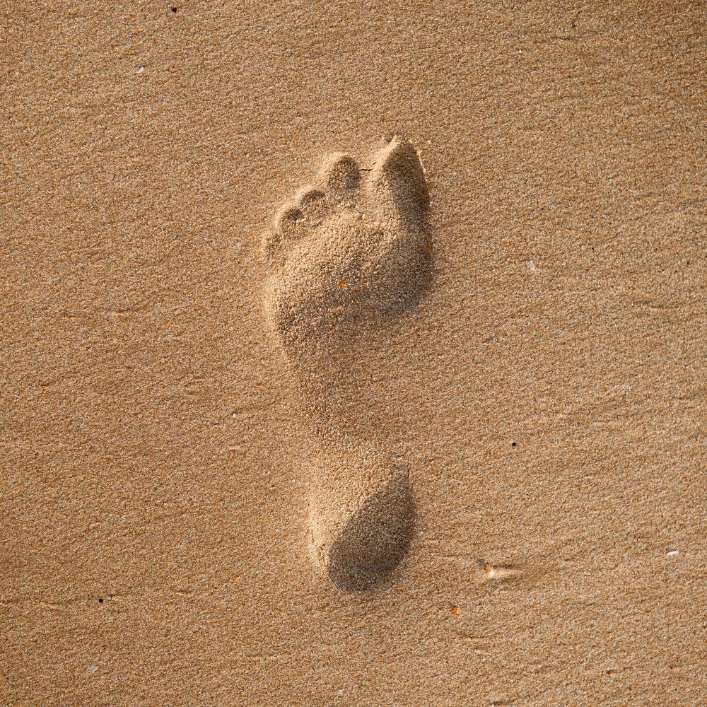 Photograph by Carlos César Lopes Tenório