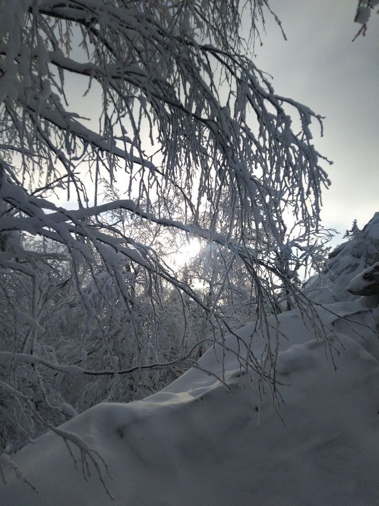 Photograph by Наталья Шулятина