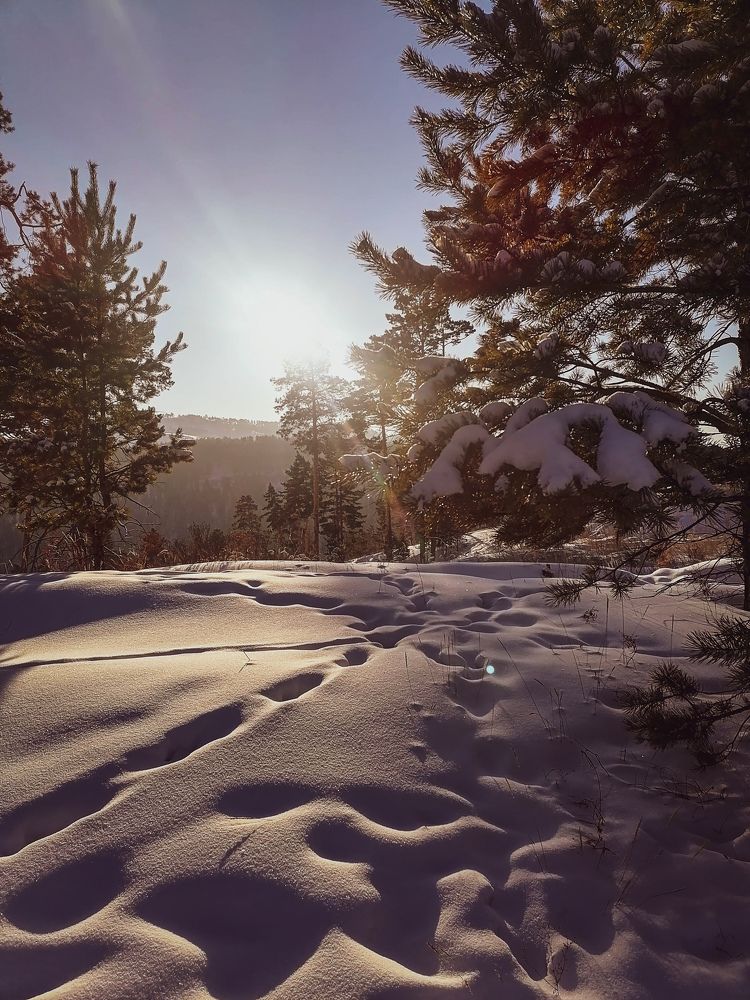 Photograph by Светлана Шелухеева