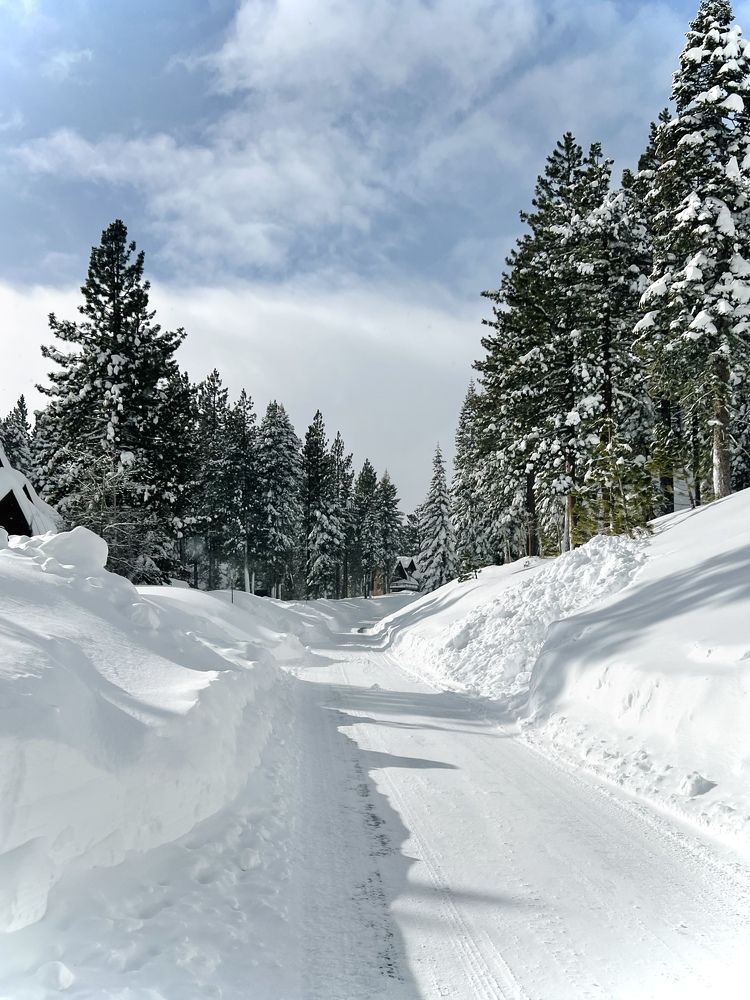 Photograph by Elena Tishenko