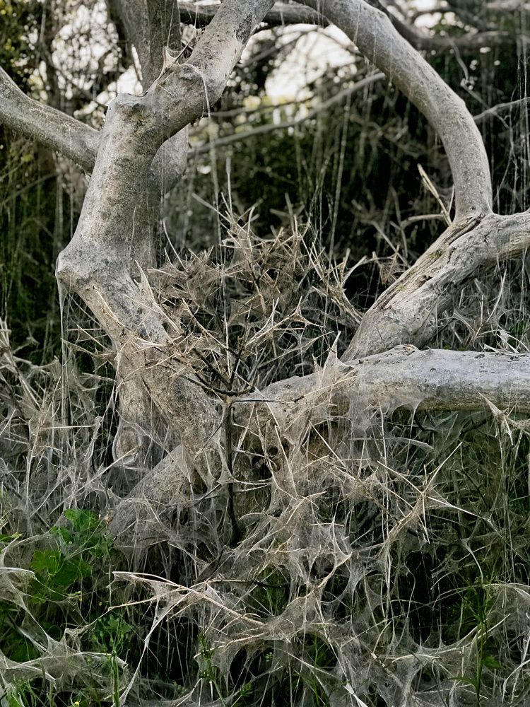 Photograph by German Berdiugin