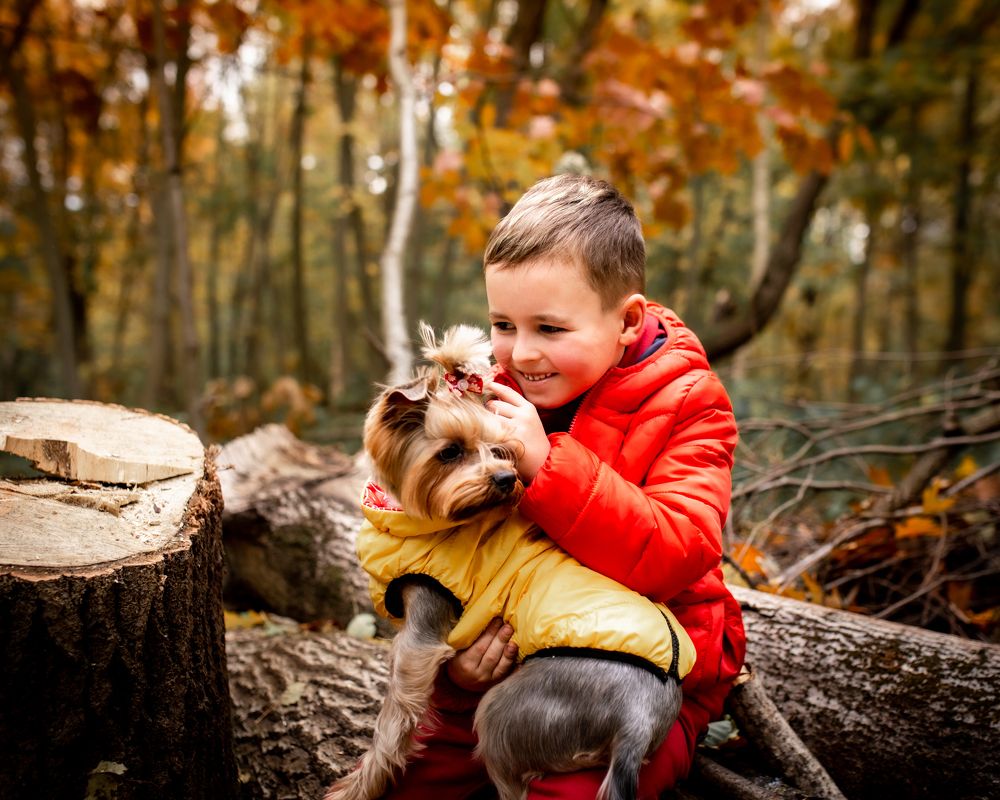 Photograph by Кохан Ірина