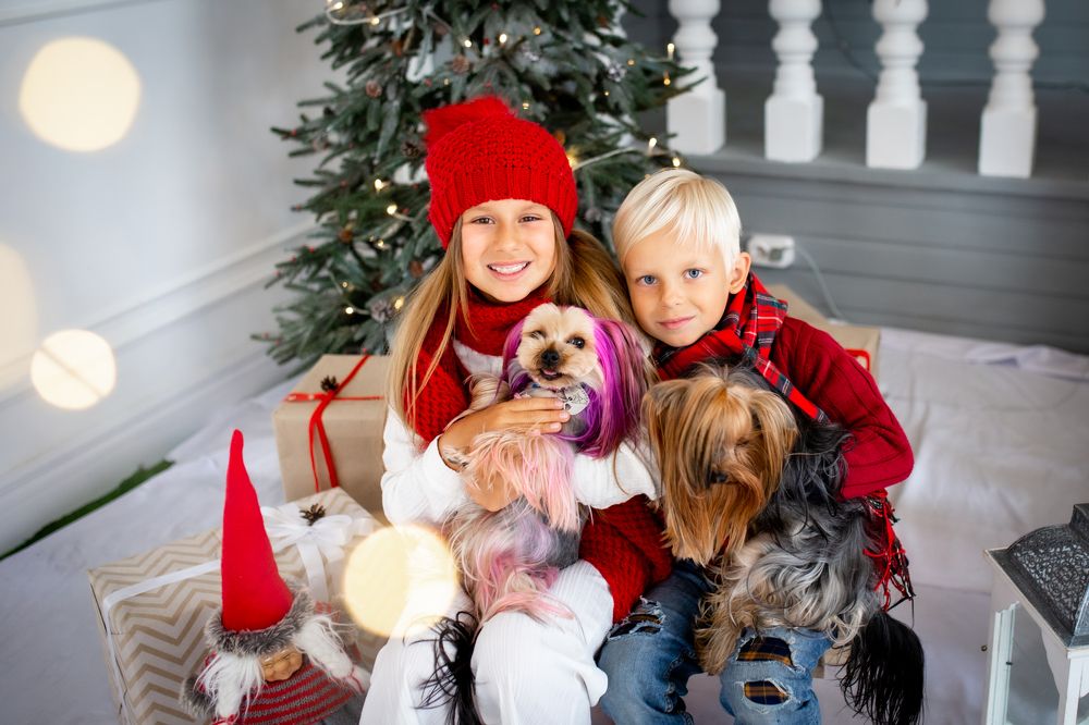 Photograph by Кохан Ірина