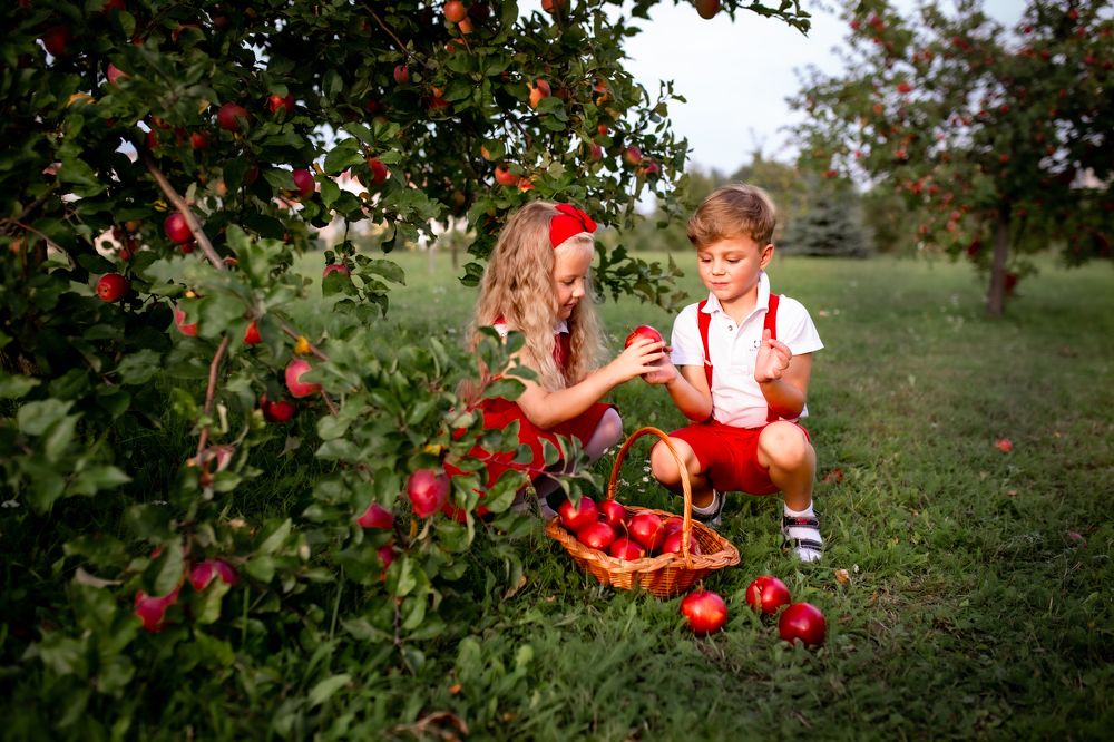 Photograph by Кохан Ірина