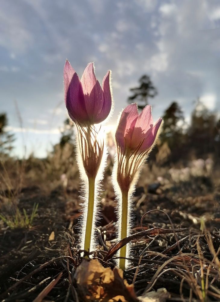 Photograph by Светлана Шелухеева