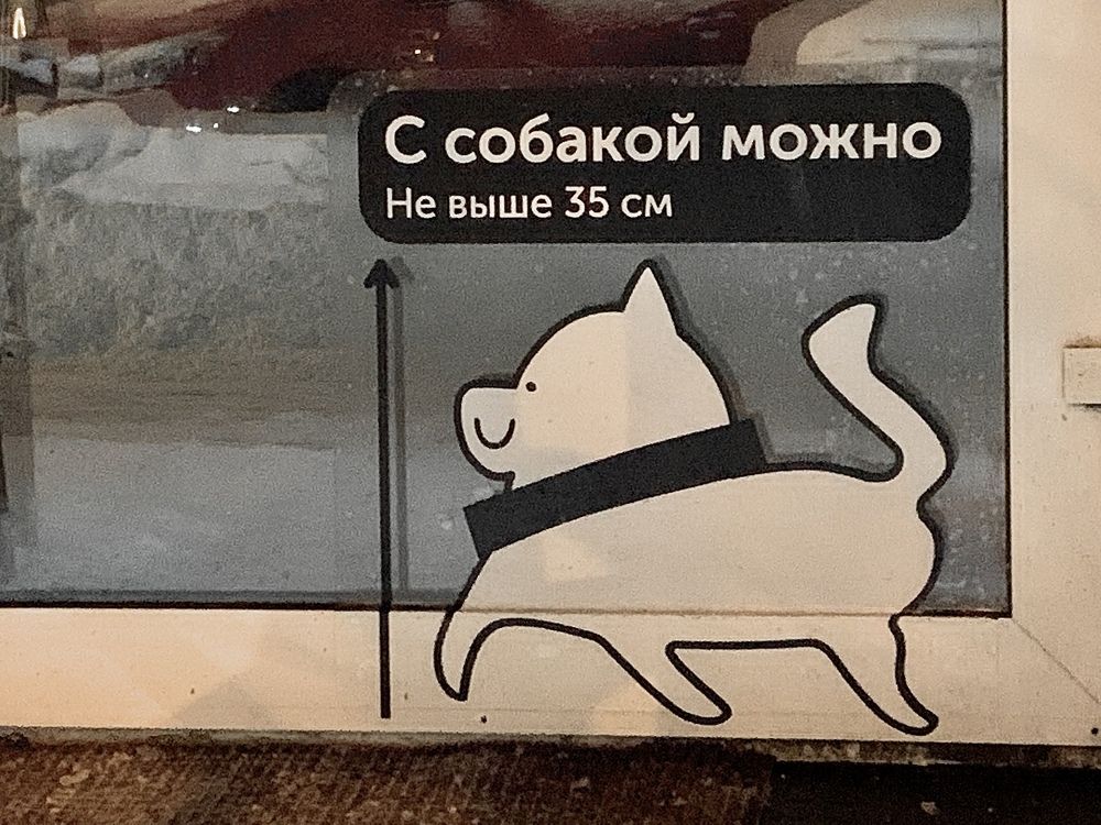 Вход в магазин возможен только с собакой не выше 35 см