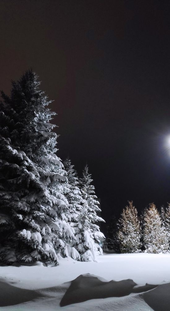 Photograph by Елена