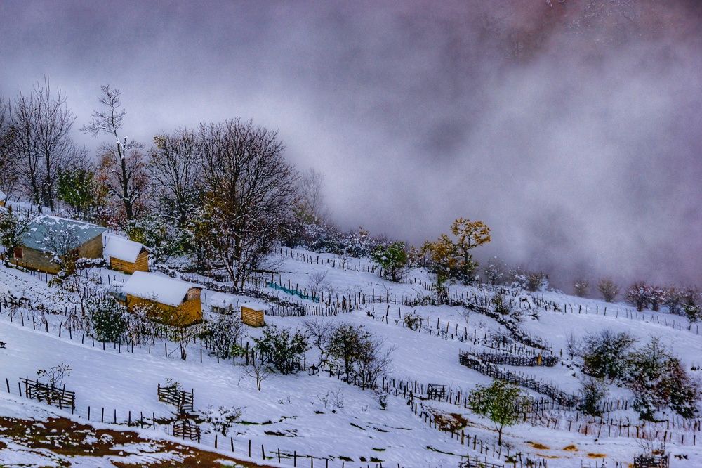 Photograph by Vahid Yavari