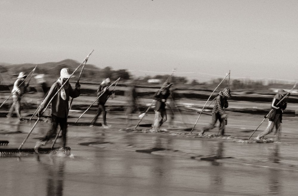 Photograph by Matt Rosaky