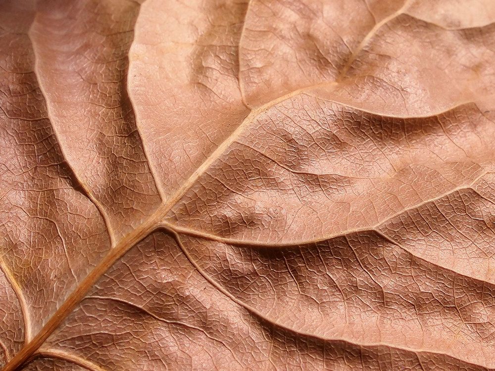 Photograph by Farid Ataei