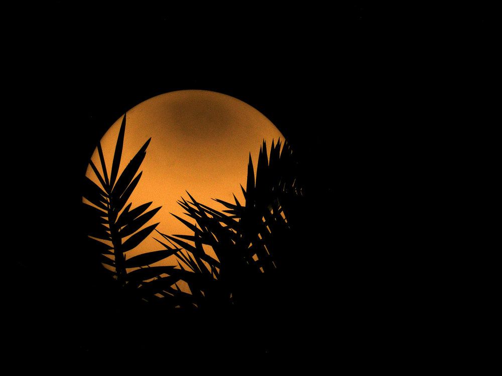 Photograph by Farid Ataei