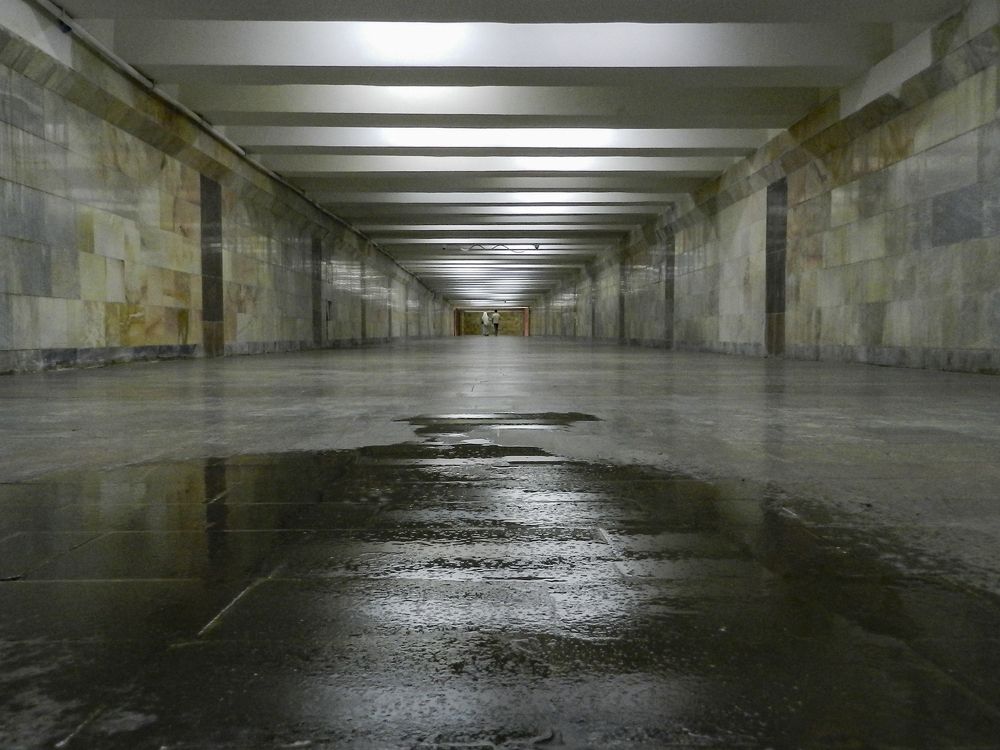 Перспектива