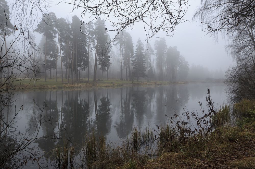 Photograph by Tatiana