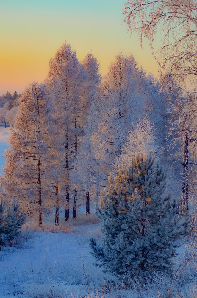 Photograph by Глухарев Сергей