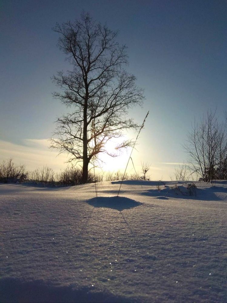 Photograph by Elena Lukashina
