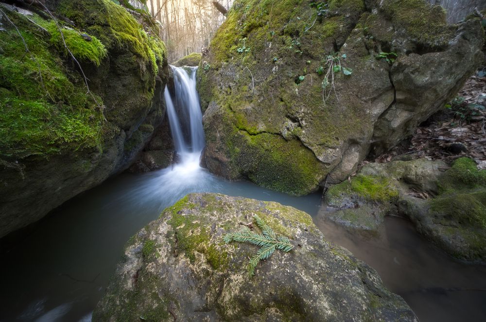 Photograph by Александр Орнатский