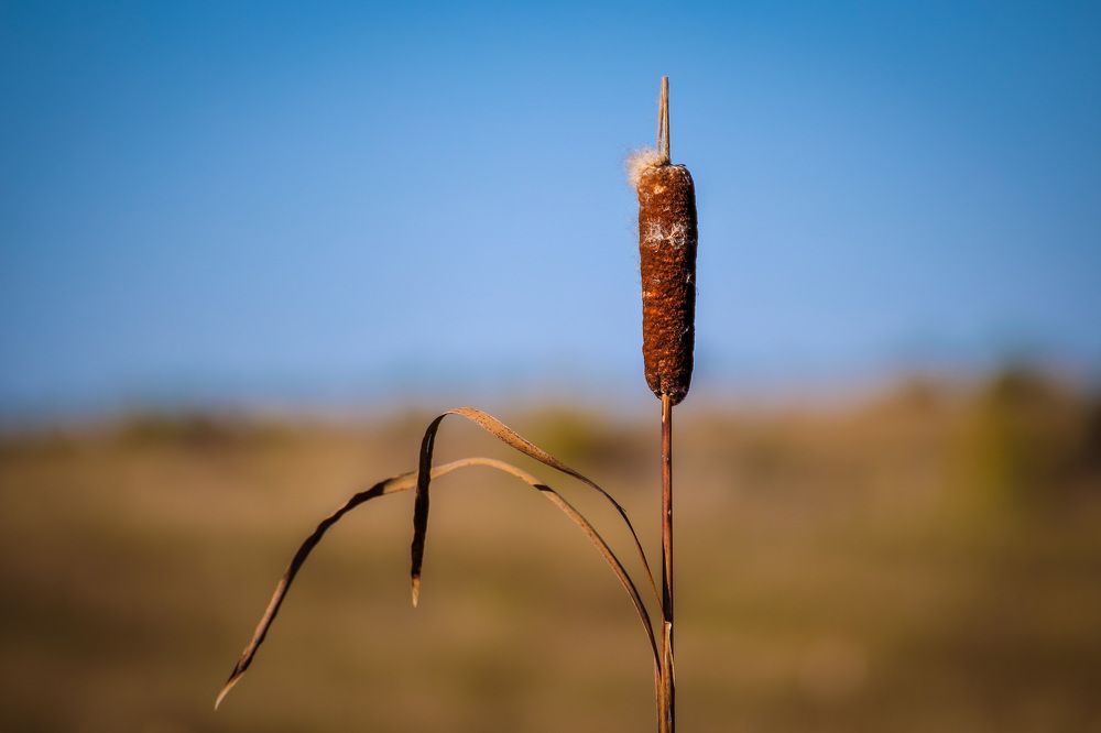Фотография автора Юрий Фефилов