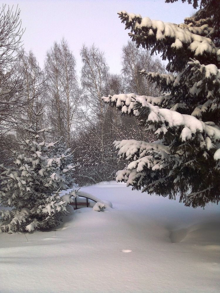 Photograph by Павел Баганов