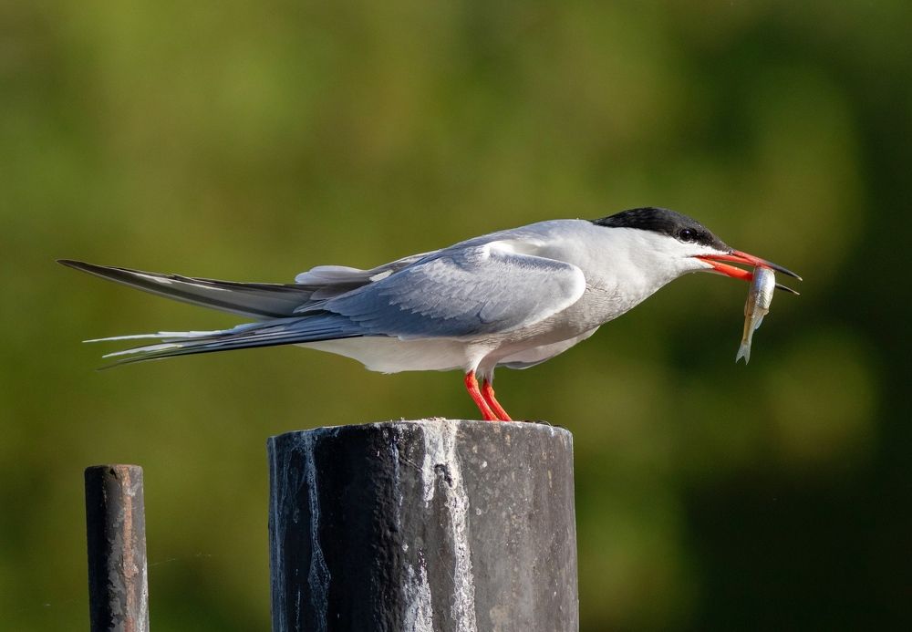 Photograph by Павел Краснослободцев