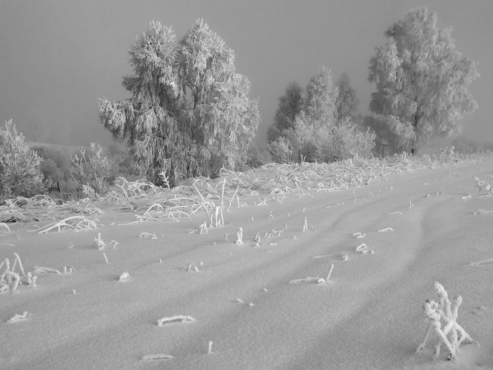 Photograph by Олег Тетерин