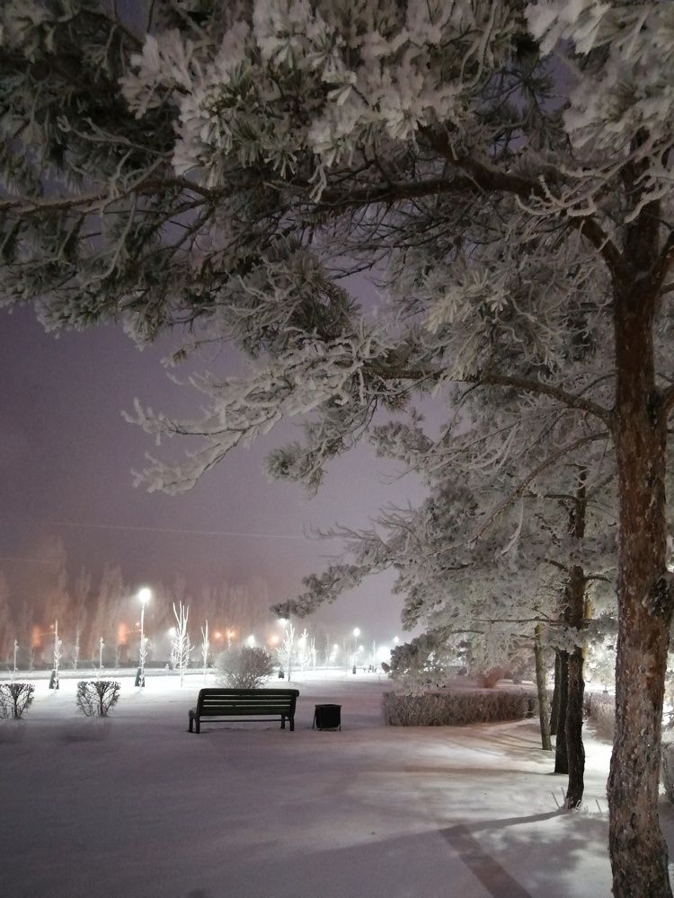 Photograph by Ольга Мокрова