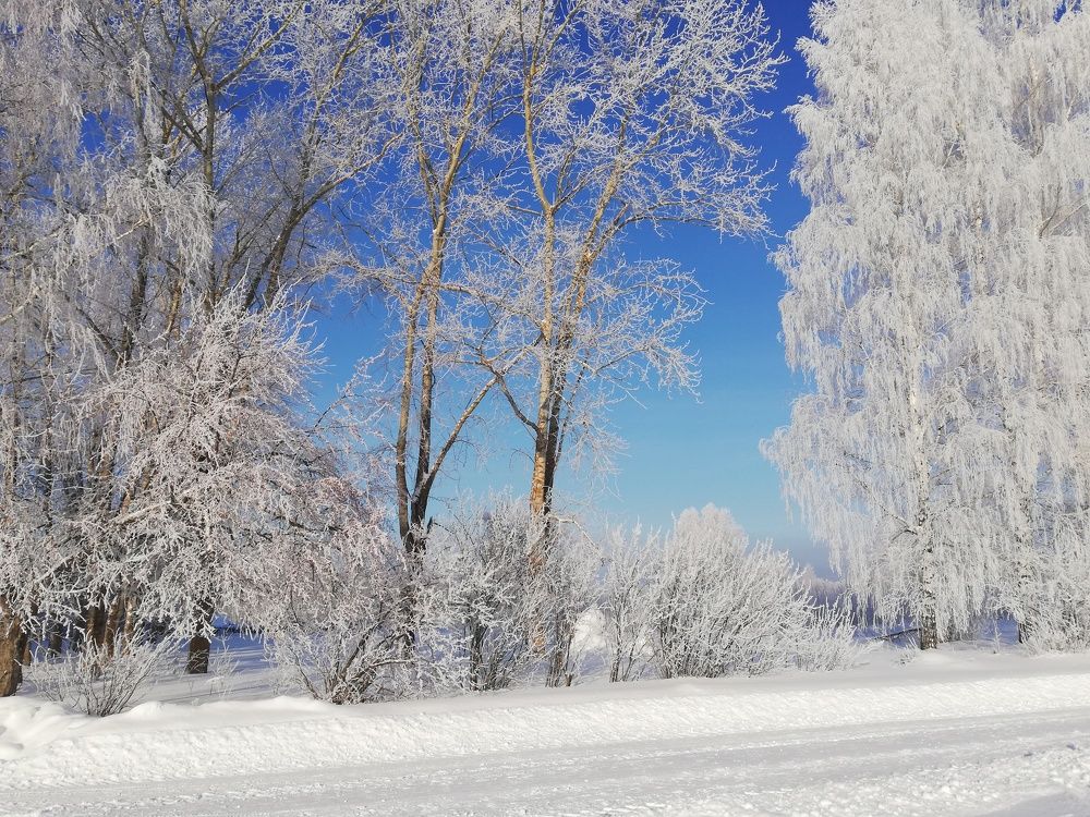 Photograph by Татьяна Александрова