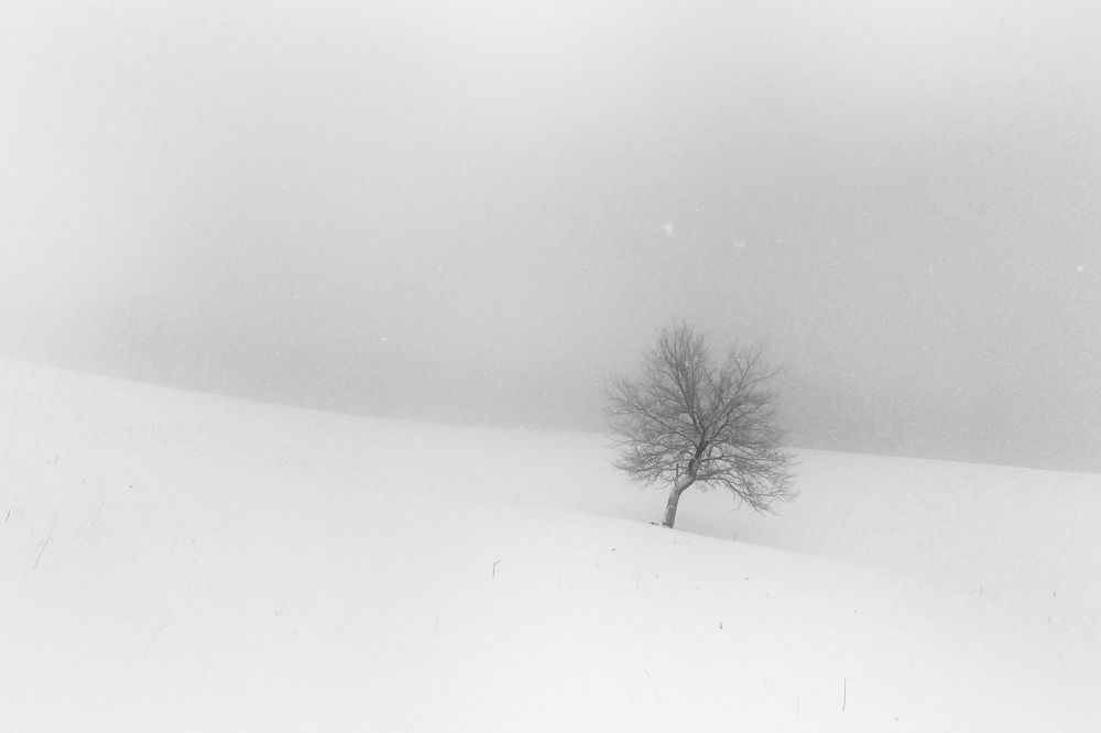 Фотография автора senjor