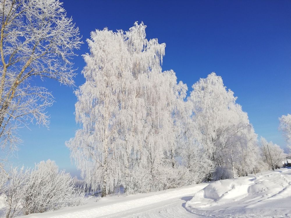 Photograph by Татьяна Александрова